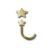 18 Karat Gold Nasenstecker mit kleinem Stern