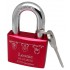 Engraving example Love lock red made of aluminum 50mm with your individual engraving