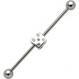 Industrial barbell made of surgical steel with dice, small