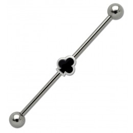 Industrial barbell made of surgical steel with a deck of clubs