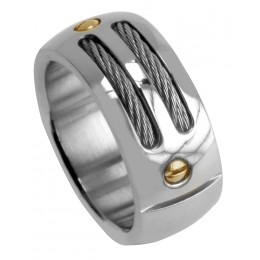 Steel ring with wire splint and gold plated rivets