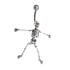 Belly button body jewelry piercing with 925 silver Lets Dance skeleton