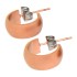 Ear studs made of stainless steel in a matt gold tone
