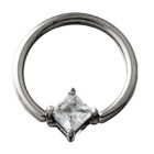 BCR clamp ring with diamond crystal insert