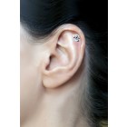 316L helix ear piercing 1.2x6, motif very wise owl made of 925 sterling silver