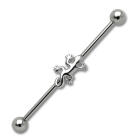 Industrial ear piercing made of surgical steel with salamander