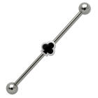 Industrial barbell made of surgical steel with a deck of clubs