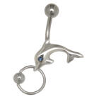 Belly button piercing 1.6x10mm Bcr in Piercing dolphin with crystal and BCR