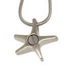Ash pendant starfish made of stainless steel