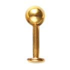 Gold-plated labret with a thickness of 1.6mm