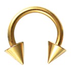 Gold Plated Steel Circular Barbell