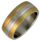 S. Steel Ring, band 18k gold design,small (size#6)